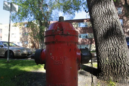 The fire hydrant on Carlton street between Broadway and Assiniboine Ave. This hydrant is closest to Assiniboine Ave. and has no stopping signs in front of it.  Wayne Glowacki/Winnipeg Free Press August 27 2014