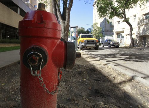 The fire hydrant on Garry Street between Broadway and Assiniboine Ave. This hydrant is the one  that is closest to Assiniboine Ave.  Wayne Glowacki/Winnipeg Free Press August 27 2014