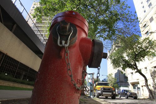 The fire hydrant on Garry Street between Broadway and Assiniboine Ave. This hydrant is the one that is closest to Assiniboine Ave.  Wayne Glowacki/Winnipeg Free Press August 27 2014