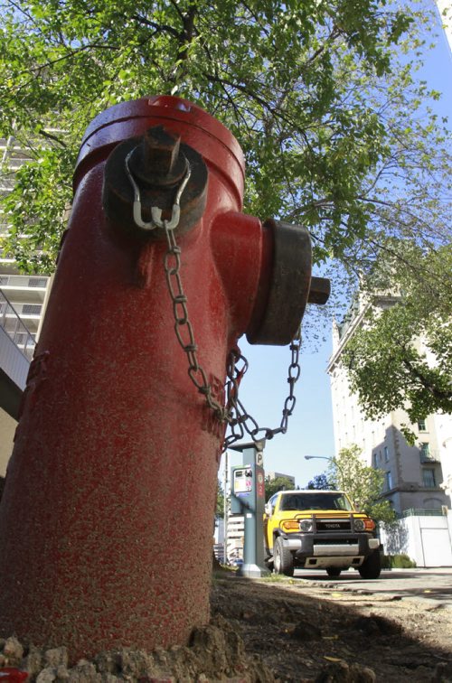 The fire hydrant on Garry Street between Broadway and Assiniboine Ave. This hydrant is the one closest to Assiniboine Ave.  Wayne Glowacki/Winnipeg Free Press August 27 2014