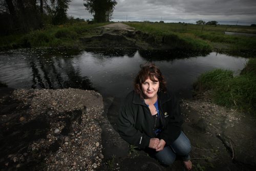 Water Woes.....Municipal Counsellor Debbie McMechan poses in front of a washed out municipal road near Pierson Mb. Unusual rainfall patterns and uncontrolled drainage has left most fields in the area unproductive this season and some for multiple seasons. Roads and bridges have also been washed out. See Larry Kusch story. August 25, 2014 - (Phil Hossack / Winnipeg Free Press)
