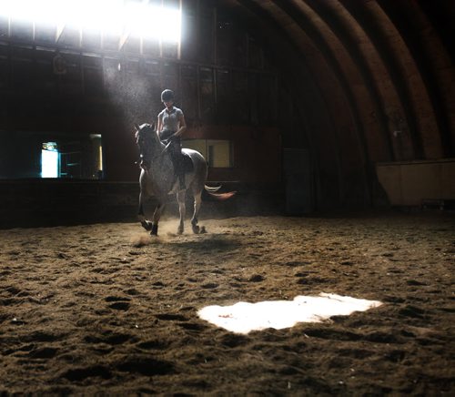 Katherine Page  uses the dry, indoor barn at Teske's Farm to ride and brush down her twelve-year-old horse- Chaos Saturday morning after her farm in Headingley was flooded in Friday evenings downpour.    Standup photo     Aug 30, 2014 Ruth Bonneville / Winnipeg Free Press   Ruth Bonnevilles