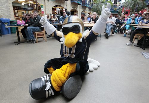 August 31, 2014 - 140825  -  Buzz gets in the spirit as about thirty Winnipeg Blue Bomber fans watch the Labour Day Classic at The Forks, Sunday, August 31, 2014.  John Woods / Winnipeg Free Press