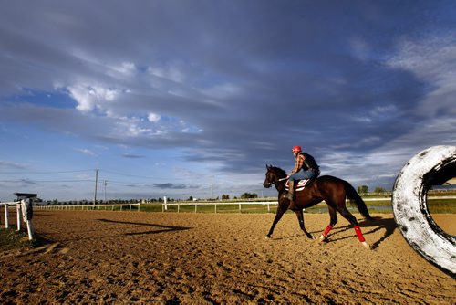 Weather Shot. Dark rain clouds were starting  to move in Thursday morning as riders work horses on the training track at the Assiniboia Downs. Wayne Glowacki/Winnipeg Free Press Sept.4 2014