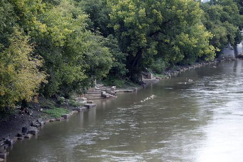 Stdup . Forks  River Walk is just barely flooded again after recent rains make their way into the city of Winnipeg along the swollen  Assiniboine River   SEPT  4 2014 / KEN GIGLIOTTI / WINNIPEG FREE PRESS
