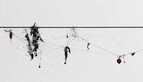The Cast that went to high Hundreds of fishing lures hang from a hydro line from fisherman that casted to high on the Seine River near La Barriere Park -Standup Photo- Sept 09, 2014   (JOE BRYKSA / WINNIPEG FREE PRESS)