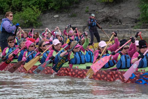 Participants make the turn towards the start line during the Manitoba Dragon Boat Festival in support of CancerCare Manitoba and the Children's Hospital Foundation of Manitoba at The Forks Sunday.  130914 - Sunday, September 14, 2013 -  (MIKE DEAL / WINNIPEG FREE PRESS)