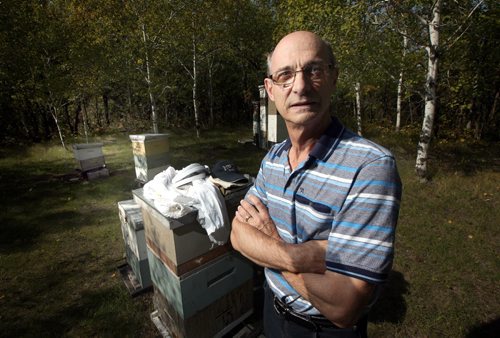 Stonewall area beekeeper Jim Campbell poses in his bee yard Thursday afternoon. See Alex Paul's story. September 18, 2014 - (Phil Hossack / Winnipeg Free Press)