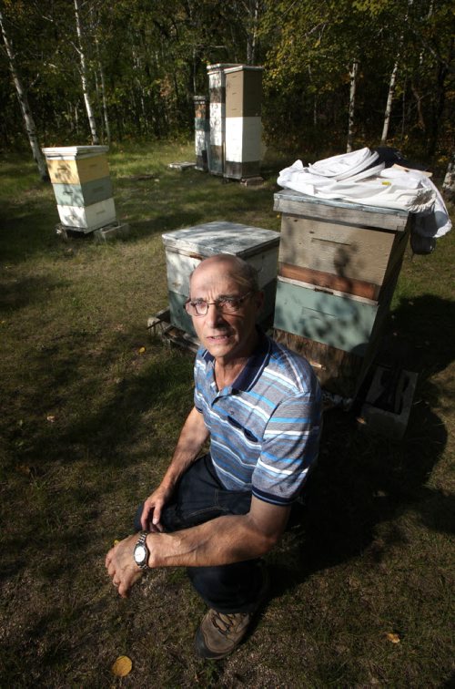 Stonewall area beekeeper Jim Campbell poses in his bee yard Thursday afternoon. See Alex Paul's story. September 18, 2014 - (Phil Hossack / Winnipeg Free Press)