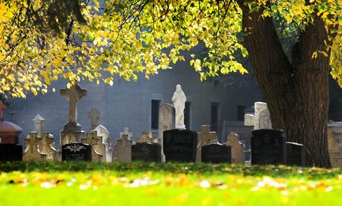 Autumn leaves glow as they drape from the branches of a large tree like a canopy over the tombstones and statues in the cemetery outside the St. Boniface Basilica Thursday afternoon in the warm sunshine.   Standup photo.  Sept 25,  2014 Ruth Bonneville / Winnipeg Free Press
