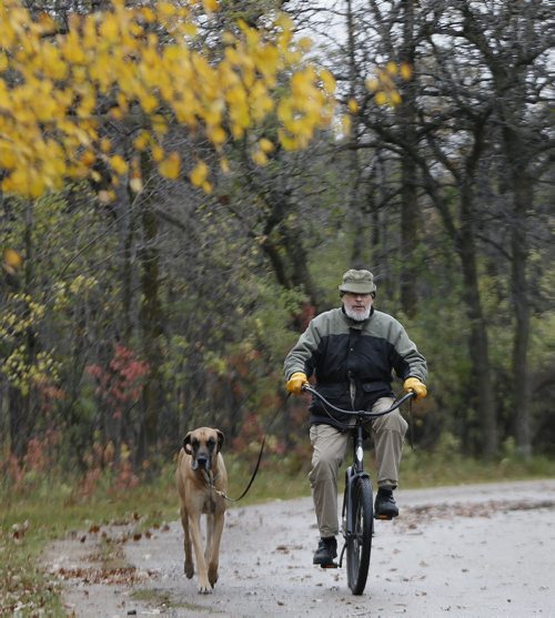 Stdup Windy cool of 5 with rain today , Emil Kucera  gets his morning ride in  with his dog Roy  at Assiniboine Park Oct. 3 2014 / KEN GIGLIOTTI / WINNIPEG FREE PRESS