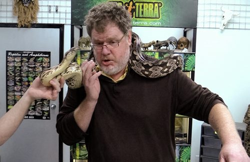 Columnist Doug Speirs avoids the head of a Dumeril's boa snake on his neck at Winnipeg Reptiles on Friday, in advance of the Manitoba Reptile Breeder's Expo at Victoria Inn this weekend. 141003 - Friday, October 03, 2014 - (Video screen capture / Melissa Tait / Winnipeg Free Press)