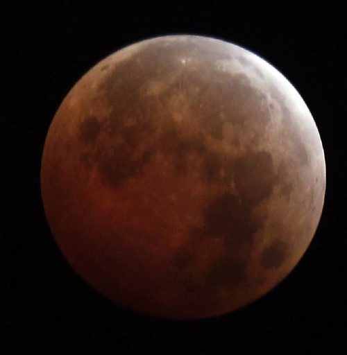 A clear sky and a 0C temperature provided great conditions to view the lunar eclipse from Winnipeg Wednesday morning. Photo taken at aprox 6AM. Wayne Glowacki/Winnipeg Free Press Oct. 8 2014