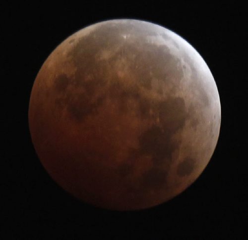 Clear cool conditions clear provided great opportunity to view the lunar eclipse from Winnipeg Wednesday morning. Photo taken at aprox. 6 AM. Wayne Glowacki/Winnipeg Free Press Oct. 8 201