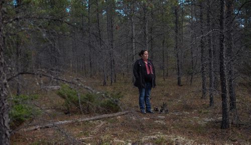 Heidi Cook a councillor with the Misipawistik Cree Nation in the forest north of Grand Rapids, MB where a massive fire in 2008 destroyed 53,008 hectares of forest. 140929 - Monday, September 29, 2014 -  (MIKE DEAL / WINNIPEG FREE PRESS)