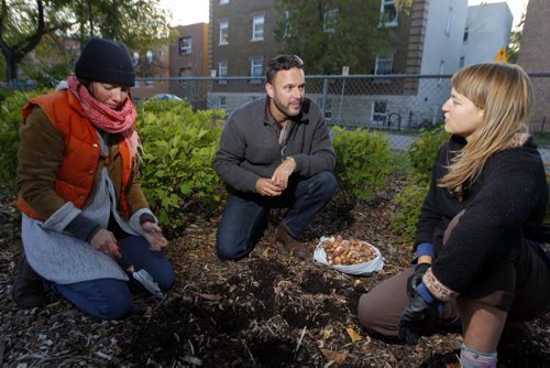 Photo of Winnipeg Blub Project director Derek Yarnell, centre, with volunteer bulb planters Madhavi Messmer and Nyree Bridgmyn in a Park in the West Broadway area. The 2nd annual Winnipeg Bulb Project is a non-profit, volunteer-driven initiative to put flowers in gardens and yards in the North End and downtown. Yarnell said the project "aims to connect people living in urban neighbourhoods with nature, one bulb at a time." He donated 2,000 to various community organzations last year and has increased that donation to 11,500 this year and spread them around to about 20 community groups and schools. BORIS MINKEVICH / WINNIPEG FREE PRESS October 9, 2014