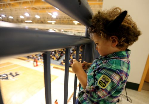 Beckett, 2, a young volleyball fan, watching the University of Manitoba Bisons' during the game against the Calgary Dinos at Investors Group Athletic Centre, Thursday, October 9, 2014. (TREVOR HAGAN/WINNIPEG FREE PRESS)