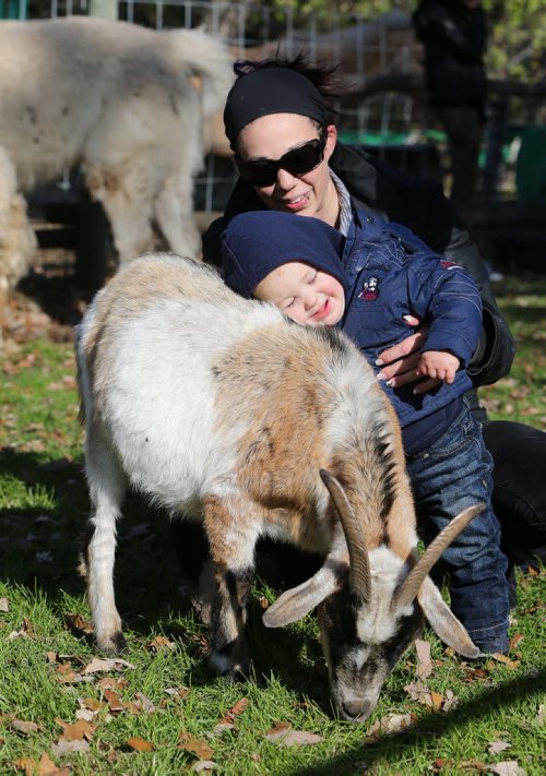 Carson Barr, 14 months, and his mom Amy Lamirande cuddle up to goat Olof at the petting farm at Six Pines Haunted Attractions part north of Winnipeg on Sat., Oct. 11, 2014. The interactive attractions will be open until Halloween. Photo by Jason Halstead/Winnipeg Free Press
