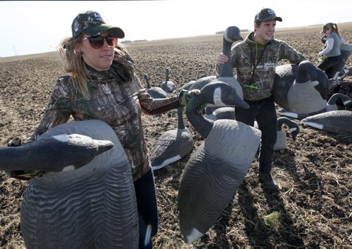 Stephanie Woltman- Masters in Environment at University of Manitoba( U of M) , left, and Riley Bartel- 4th Year Environment at U of M set decoys in a farmers field just outside Winnipeg- 10 U of M students went goose-hunting Wednesday just outside the perimeter Hyw. Two of their professors organized this event with the MWF-MWF is hoping to get more folks taking advantage of the overabundant urban goose resource. See Alexander Paul story- Oct 15, 2014   (JOE BRYKSA / WINNIPEG FREE PRESS)
