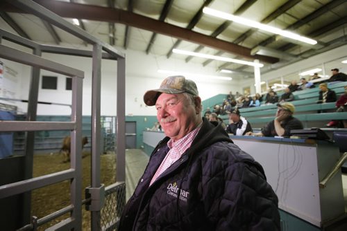 Biz: Anola farmer Tom Fryza  waits to see his cattle get auctioned off at Winnipeg Livestock Sales, just north of the perimeter  Friday. Story: Higher price of cattle and how thats affecting Canadian/Manitoba producers and price of beef in stores. Story by Randy Turner Oct 17,  2014 Ruth Bonneville / Winnipeg Free Press