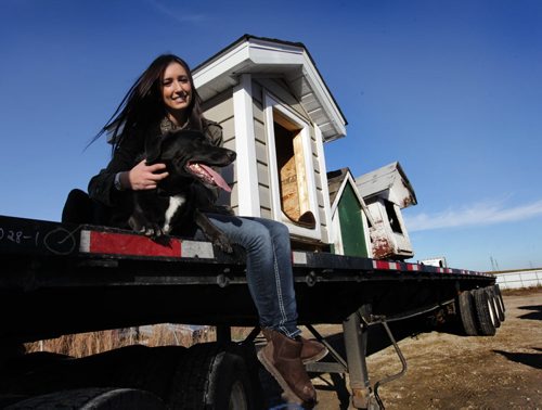 Jasmine Colucci, a volunteer with NHARN, a animal rescue service for dogs on reserves, sits on a flat bed truck with one of her rescue dogs  "Jet" with dog houses that will be shipped up to Norway House for free by  Mark Kohaykewych, president of Polar Industries.  See story.    Oct 23,  2014 Ruth Bonneville / Winnipeg Free Press