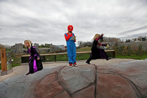 Six-year-old Jonah Vanderhorst dressed as Mario Brother, examines his scavenger hunt map on a rock structure as his friends Taylor McKenzie (witch, left) and her sister Katie  (vampire) play next to him while at The Assiniboine Park Zoos Halloween Weekend Spooktacular Friday. The event runs all weekend with 25% of regular admission when wearing a costume.    Oct 24,  2014 Ruth Bonneville / Winnipeg Free Press