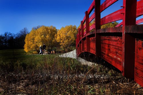 A couple make their way over the bright red bridge at Kings Park heading to the dogs park on a beautiful, sunny, October afternoon.  Standup photo.  Oct 25,  2014 Ruth Bonneville / Winnipeg Free Press