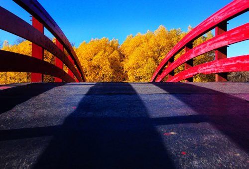 A bright red bridge at Kings Park contrasts against the blue sky and yellow trees on a beautiful, sunny, October afternoon.  Standup photo.  Oct 25,  2014 Ruth Bonneville / Winnipeg Free Press