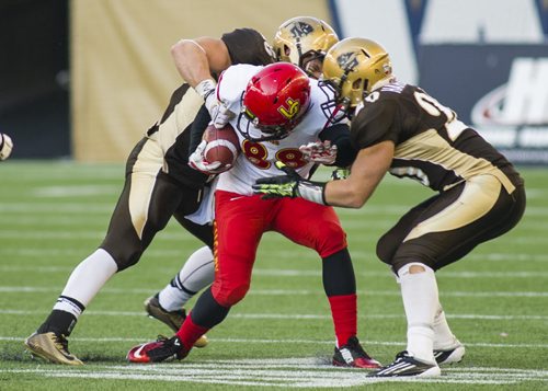 141101 Winnipeg - DAVID LIPNOWSKI / WINNIPEG FREE PRESS  The University of Manitoba Bisons take down Calgary Dinos Austen Hartley (#88) at Investors Group Field Saturday November 1, 2014. The Bisons beat the Dinos 50-31 which secures them a playoff spot.