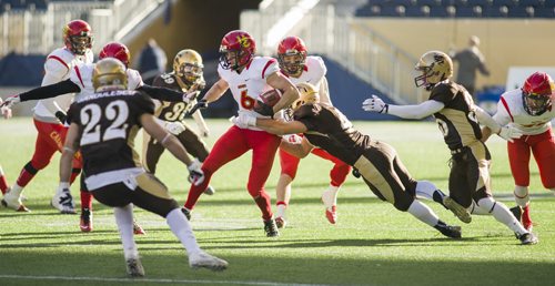 141101 Winnipeg - DAVID LIPNOWSKI / WINNIPEG FREE PRESS  The University of Manitoba Bisons take down Calgary Dinos Jake Harty (#6) at Investors Group Field Saturday November 1, 2014. The Bisons beat the Dinos 50-31 which secures them a playoff spot.