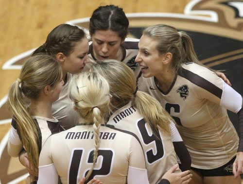 University of Manitoba Bisons celebrate point against the UBC Thunderbirds during  second set Friday night action at the Investors Group- Athletic Centre- See story Nov 07, 2014   (JOE BRYKSA / WINNIPEG FREE PRESS)