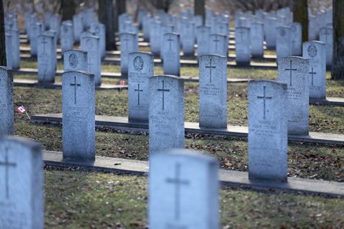 The veterans area at Brookside Cemetary, Saturday, November 8, 2014. (TREVOR HAGAN/WINNIPEG FREE PRESS)