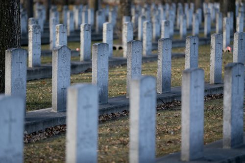 The veterans area at Brookside Cemetary, Saturday, November 8, 2014. (TREVOR HAGAN/WINNIPEG FREE PRESS)