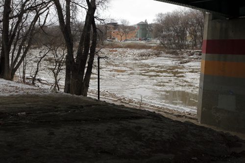 Donald Street bridge. North side. Area where serious attack on woman last week. BORIS MINKEVICH / WINNIPEG FREE PRESS November 12, 2014