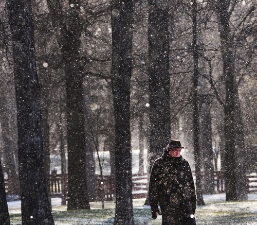 Ice crystals dazzle in morning light as walkers get exercise Thursday morning in Kildonan Park in Wpg- Standup Photo Nov 13, 2014   (JOE BRYKSA / WINNIPEG FREE PRESS)
