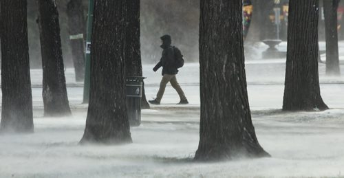 A pedestrian is buffeted by blowing snow while crossing Broadway at Memorial on Sunday afternoon.  141116 November 16, 2014 Mike Deal / Winnipeg Free Press