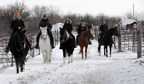 LtoR , teacher Taylor Homenick , Allen Chartrand , Taylor Fontaine, Rhianna Schell and Sara Kasian  take their horses out for a walk.
LOCAL - Miracle Ranch 
NICK MARTIN STORY: Argyle Alternative High School started a program this year called Healing with Horses, where eight at-risk students go to Miracle Ranch once a week for ten weeks . Students are paired up with the same horse each session. The program uses principles of equine therapy and as well taps into the social/emotional nature of horses for learning.
NOV. 18 2014  KEN GIGLIOTTI / WINNIPEG FREE PRESS