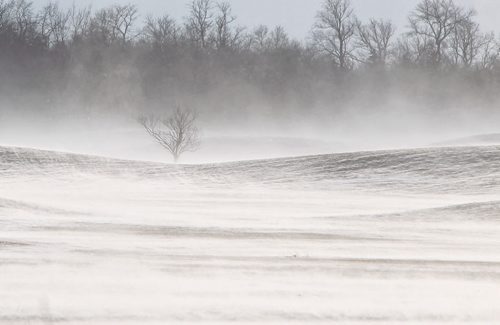 Blowing snow flows over the fairways of the John Blumberg golf course Wednesday afternoon.  141119 November 19, 2014 Mike Deal / Winnipeg Free Press
