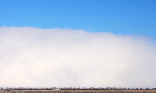 A snowsquall moves towards St. Francois Xavier , Manitoba Wednesday - Standup Photo Nov 19, 2014   (JOE BRYKSA / WINNIPEG FREE PRESS)
