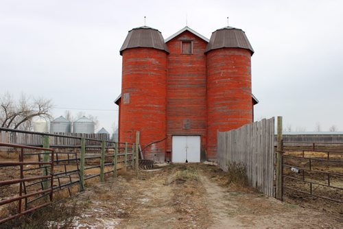 075 - The entrance for cattle into Curtis Gervin's barn, believed to be the only double-siloed wood barn still standing in Western Canada. BILL REDEKOP/WINNIPEG FREE PRESS Nov 26, 2014