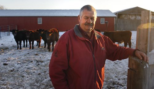Finance. Heinz Reimer, pres. Manitoba Beef Producers with calves on his farm south of Steinbach, Mb.  Murray McNeill story. Wayne Glowacki / Winnipeg Free Press Nov. 26  2014