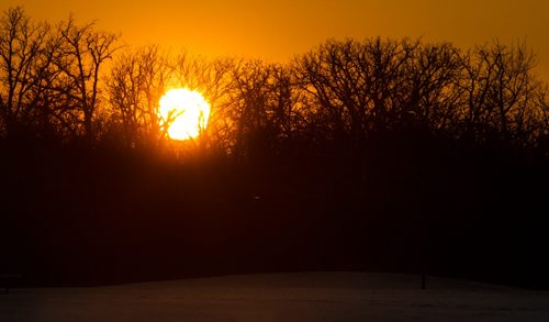 The sun sets behind trees in Assiniboine Park Sunday. 141130 - Sunday, November 30, 2014 -  (MIKE DEAL / WINNIPEG FREE PRESS)