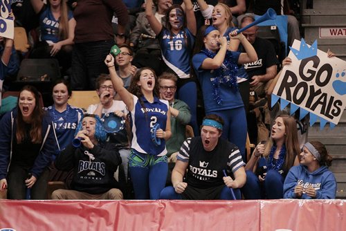 December 1, 2014 - 141201  -  Lord Selkirk Royals fans cheer as their team plays the Steinbach Sabres in the Manitoba High Schools Athletic Associations AAAA Boys volleyball final at University of Manitoba Monday, December 1, 2014.  John Woods / Winnipeg Free Press