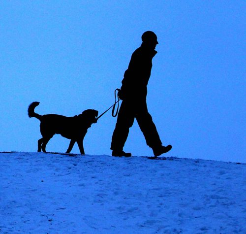 A man walks his dog at Omands Creek Tuesday afternoon. Standup photo.   Dec 02,  2014 Ruth Bonneville / Winnipeg Free Press