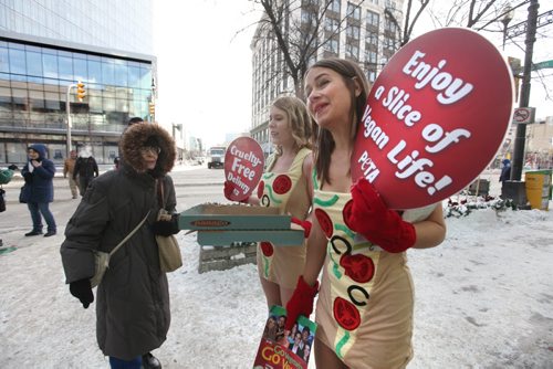 Emily Lavender sells the virtues of being vegan to a passer-by with her cohort Courtney Shwetz (rear) by handing out free vegan pizza in only short dresses in front of Portage Place Wednesday.  A warmly dressed older women chastises them for using their bodies to sell their ideas but  concerns goes mostly unheard.  See Bartley Kives story.  Dec 03,  2014 Ruth Bonneville / Winnipeg Free Press
