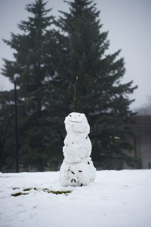 141213 Winnipeg - DAVID LIPNOWSKI / WINNIPEG FREE PRESS  This snowman doesn't know how to feel in Assiniboine Park Saturday afternoon. The weather hit + temperatures, well above the seasonal average.