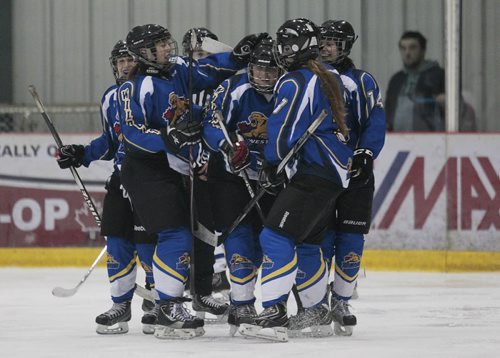 December 14, 2014 - 141214  -  Wesman Wildcats celebrate a goal over the Bantam AA Titans at Hockey Manitoba's Project 100 Sunday, December 14, 2014. The weekend was a celebration of women's hockey in Manitoba. John Woods / Winnipeg Free Press