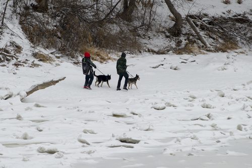 121226 Winnipeg - DAVID LIPNOWSKI / WINNIPEG FREE PRESS  People walk their dogs on a partially frozen river as seen from Assiniboine Park Friday afternoon.