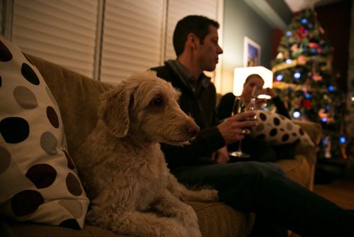 8:37:05 PM Brian Bowman and Tracy have a glass of wine after the boys are in bed. 141215 - Monday, December 15, 2014 - (Melissa Tait / Winnipeg Free Press)