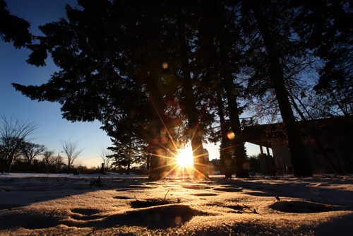 A star burst of sunshine peaks its head over the horizon for the first time in 2015 at the start of a new year near the Duck Pond at Assiniboine Park. Standup photo  Jan 01, 2015 Ruth Bonneville / Winnipeg Free Press